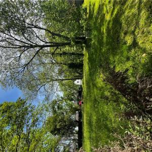 Photo #5 of 105 Prentiss Lane, Hampton, Virginia 0.5 acres