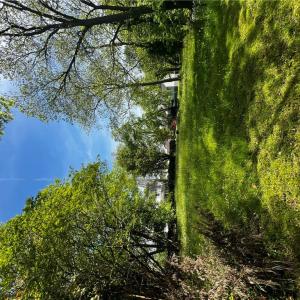 Photo #2 of 105 Prentiss Lane, Hampton, Virginia 0.5 acres