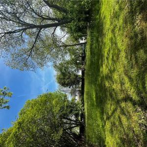 Photo #3 of 105 Prentiss Lane, Hampton, Virginia 0.5 acres