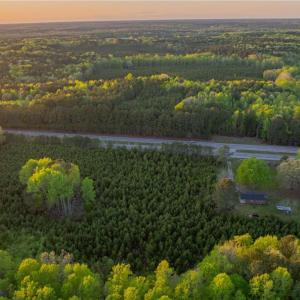 Photo #11 of 13+ AC Southampton Parkway, Drewryville, Virginia 13.4 acres