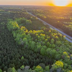 Photo #12 of 13+ AC Southampton Parkway, Drewryville, Virginia 13.4 acres