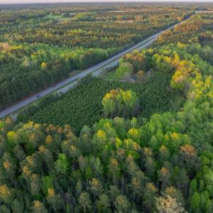 Photo #16 of 13+ AC Southampton Parkway, Drewryville, Virginia 13.4 acres