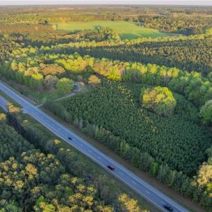 Photo #3 of 13+ AC Southampton Parkway, Drewryville, Virginia 13.4 acres