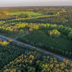 Photo #4 of 13+ AC Southampton Parkway, Drewryville, Virginia 13.4 acres