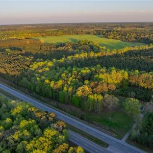 Photo #5 of 13+ AC Southampton Parkway, Drewryville, Virginia 13.4 acres