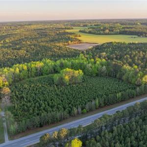 Photo #6 of 13+ AC Southampton Parkway, Drewryville, Virginia 13.4 acres