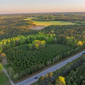 Photo #10 of 13+ AC Southampton Parkway, Drewryville, Virginia 13.4 acres