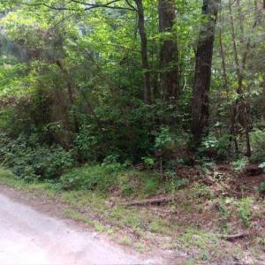Photo #2 of 6.02ac Hickory Neck Road, Urbanna, Virginia 6.0 acres