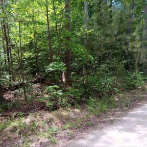 Photo #3 of 6.02ac Hickory Neck Road, Urbanna, Virginia 6.0 acres
