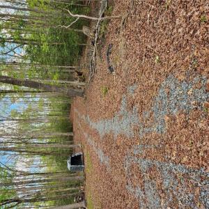 Photo #1 of 7130 Sertoma Drive, Lanexa, Virginia 5.0 acres