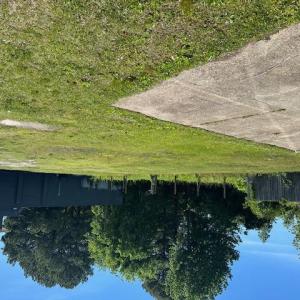 Photo #1 of 3022 Victory Boulevard, Portsmouth, Virginia