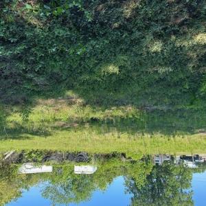 Photo #4 of 3022 Victory Boulevard, Portsmouth, Virginia