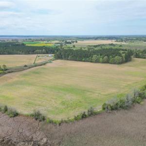 Photo #9 of LOT C Whitehurst Road, Knotts Island, North Carolina 12.8 acres