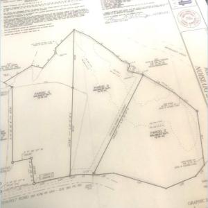 Photo #10 of LOT C Whitehurst Road, Knotts Island, North Carolina 12.8 acres