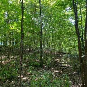 Photo #11 of 1 AC Breezy Cove, Gloucester, Virginia 1.0 acres