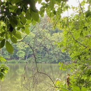 Photo #3 of 1 AC Breezy Cove, Gloucester, Virginia 1.0 acres