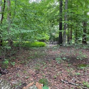 Photo #10 of 1 AC Breezy Cove, Gloucester, Virginia 1.0 acres