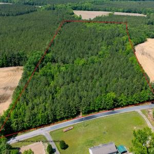 Photo #1 of 17.2AC Comans Well Road, Stony Creek, Virginia 17.2 acres