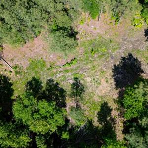 Photo #11 of 17.2AC Comans Well Road, Stony Creek, Virginia 17.2 acres