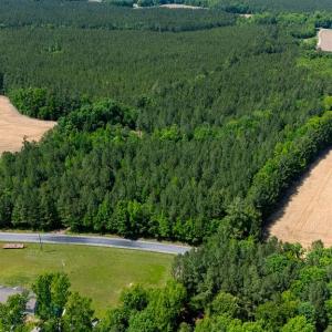 Photo #3 of 17.2AC Comans Well Road, Stony Creek, Virginia 17.2 acres