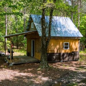 Photo #4 of 17.2AC Comans Well Road, Stony Creek, Virginia 17.2 acres