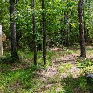 Photo #5 of 17.2AC Comans Well Road, Stony Creek, Virginia 17.2 acres