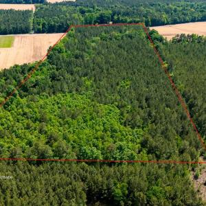 Photo #8 of 17.2AC Comans Well Road, Stony Creek, Virginia 17.2 acres