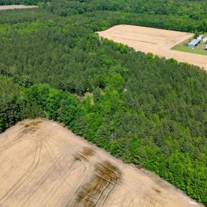 Photo #9 of 17.2AC Comans Well Road, Stony Creek, Virginia 17.2 acres