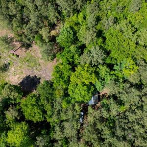 Photo #10 of 17.2AC Comans Well Road, Stony Creek, Virginia 17.2 acres