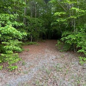 Photo #2 of Lot 12 Fox Chase Drive, Dendron, Virginia 5.6 acres