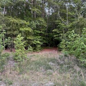 Photo #3 of Lot 12 Fox Chase Drive, Dendron, Virginia 5.6 acres