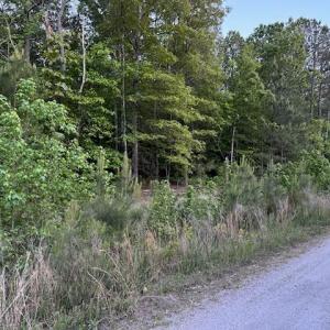 Photo #4 of Lot 12 Fox Chase Drive, Dendron, Virginia 5.6 acres