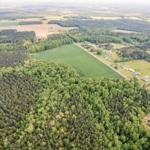 Photo #12 of 10+AC HAZELTON Road, Gates, North Carolina 12.9 acres