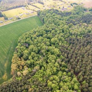 Photo #18 of 10+AC HAZELTON Road, Gates, North Carolina 12.9 acres