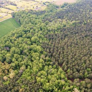 Photo #19 of 10+AC HAZELTON Road, Gates, North Carolina 12.9 acres