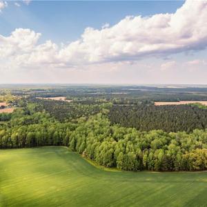 Photo #21 of 10+AC HAZELTON Road, Gates, North Carolina 12.9 acres