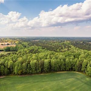 Photo #22 of 10+AC HAZELTON Road, Gates, North Carolina 12.9 acres