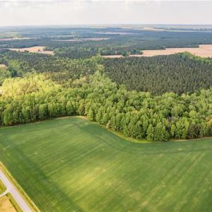 Photo #4 of 10+AC HAZELTON Road, Gates, North Carolina 12.9 acres