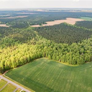 Photo #5 of 10+AC HAZELTON Road, Gates, North Carolina 12.9 acres