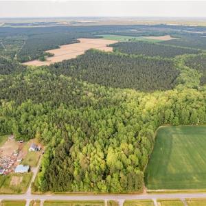 Photo #6 of 10+AC HAZELTON Road, Gates, North Carolina 12.9 acres