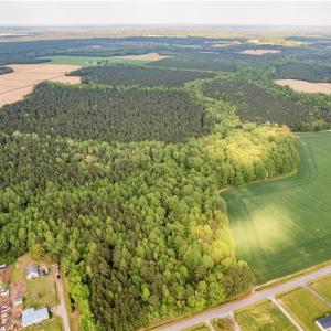 Photo #7 of 10+AC HAZELTON Road, Gates, North Carolina 12.9 acres
