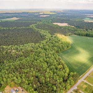 Photo #8 of 10+AC HAZELTON Road, Gates, North Carolina 12.9 acres