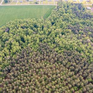 Photo #16 of 10+AC HAZELTON Road, Gates, North Carolina 12.9 acres