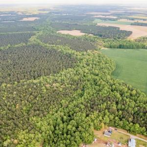 Photo #3 of 10+AC HAZELTON Road, Gates, North Carolina 12.9 acres