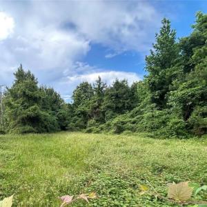 Photo #2 of 55+AC Benefit Road, Chesapeake, Virginia 55.0 acres
