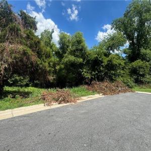 Photo #1 of .29AC 12th Street, Suffolk, Virginia 0.3 acres