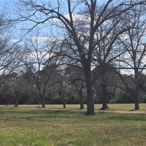 Photo #10 of 15+AC Haven Beach Road, Moon, Virginia 21.2 acres