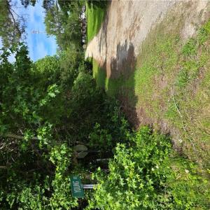 Photo #6 of 1.1+AC Caratoke Highway, Coinjock, North Carolina 2.0 acres