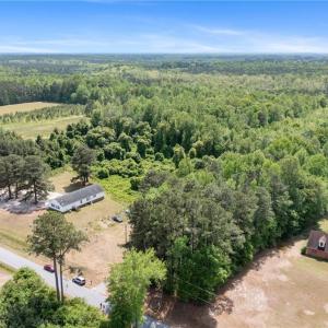 Wooded Aerial