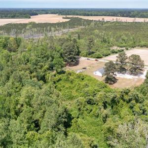 Aerial wooded